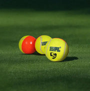 SG X ISPL Swing Cricket Ball - Indian Cricket Store
