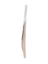 Shrey Starlight Legacy English Willow Cricket Bat Short Handle - Indian Cricket Store