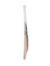 Shrey Starlight Legacy English Willow Cricket Bat Short Handle - Indian Cricket Store