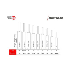SS Master 1000 English Willow Cricket Bat - Indian Cricket Store