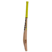 SS Ton Slasher English Willow Cricket Bat - Indian Cricket Store