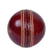 SS Ton Smacker Leather Cricket Ball Red - Indian Cricket Store
