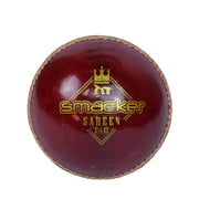 SS Ton Smacker Leather Cricket Ball Red - Indian Cricket Store