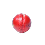 SS Ton Super Leather Cricket Ball - Indian Cricket Store